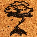 Altern Essence Perfume