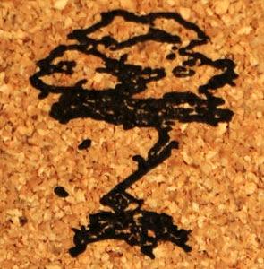 Altern Essence Perfume