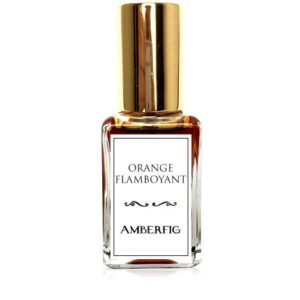 Orange Flamboyant Amberfig