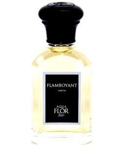 Flamboyant Aquaflor Firenze