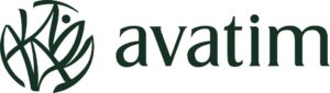 Avatim