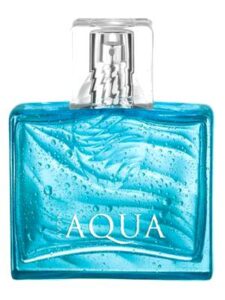 Aqua for Him Avon