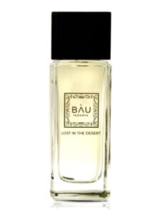 Lost In The Desert BAU