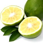 Bergamot Blossom