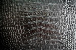 Black Leather