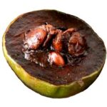 Black Sapote
