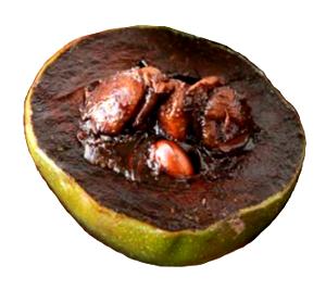 Black Sapote