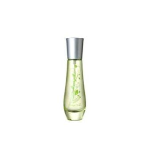 The Verde Bottega Verde