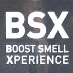 BSX