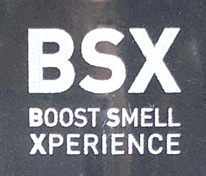 BSX