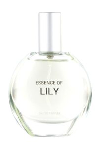 Essence of Lily C&A