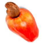 Cashew