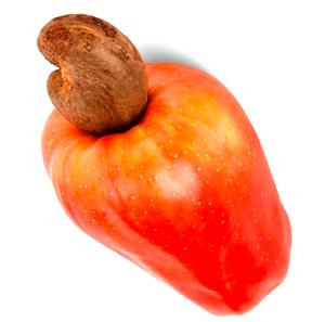 Cashew