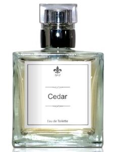 Cedar 1907
