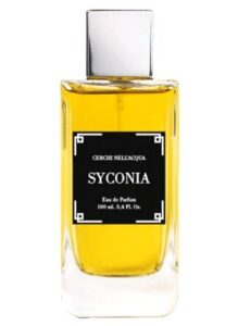 Syconia Cerchi Nell’Acqua