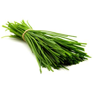 Cebolleta