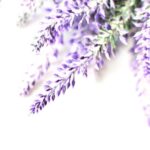 Creations Aromatiques