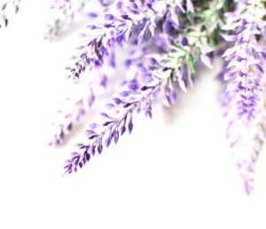 Creations Aromatiques