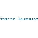 Crimean rose – Крымская роза