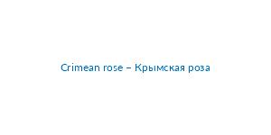 Crimean rose – Крымская роза