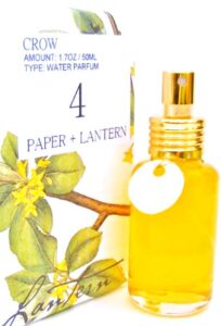 No. 4 Paper + Lantern Crow