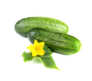 Cucumber Flower