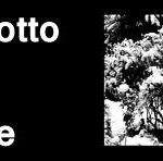 Decotto Di Neve