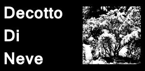 Decotto Di Neve