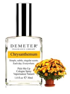 Chrysanthemum Demeter Fragrance
