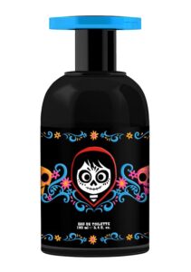 Coco Teenage Boy Disney