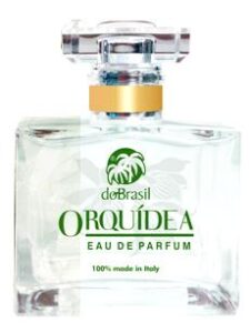 Orquídea Do Brasil