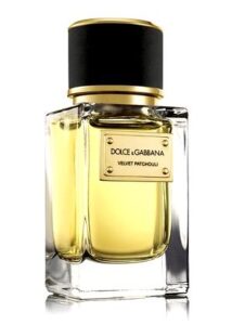Velvet Patchouli Dolce&Gabbana