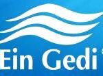 Ein Gedi