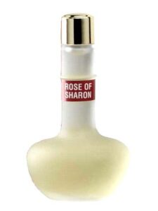 Rose of Sharon Ein Gedi