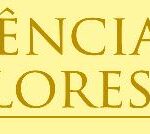 Essências da Floresta