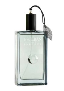 Songe de Yuzu Esteban