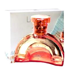 Etre Special Edition III Lancetti