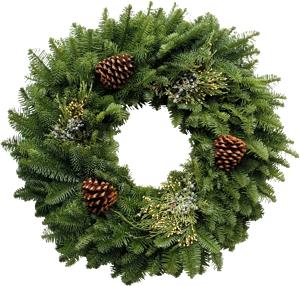Fresh Evergreen