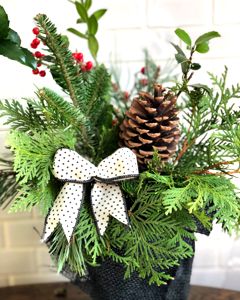 Fresh Evergreen