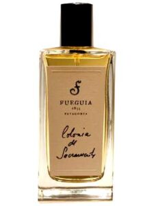 Colonia del Sacramento Fueguia 1833
