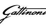 Gattinoni