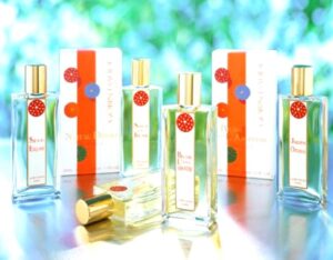 Nuit Au Désert Gobin Daudé