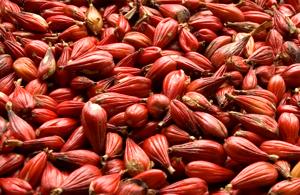 Guinea Pepper