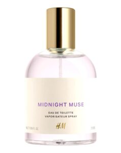 Midnight Muse H&M