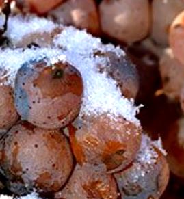 Ice Wine