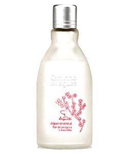 Caminho das Águas Água Oriental Flor de Cerejeira e Baunilha Jequiti