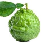 Kaffir Lime