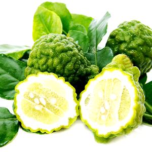 Kaffir Lime