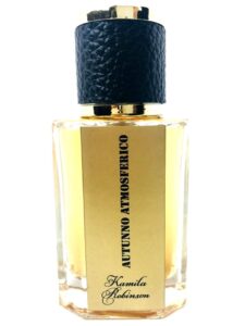 Autunno atmosferico (Атмосферная осень) Kamila Robinson