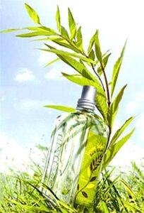 Verbena Sun L’Occitane en Provence